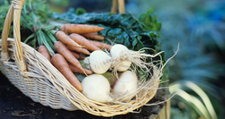 Panier de légumes