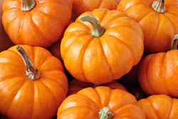 Citrouilles saisonniers