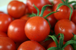 Tomates cerise